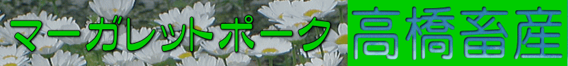 �����{�Y�̃}�[�K���b�g�|�[�N